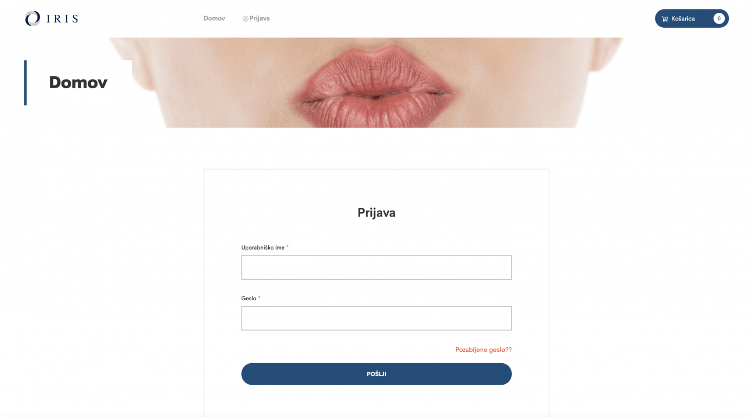 B2B portal za podjetje Iris d.o.o.